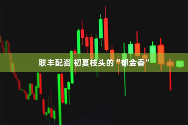 联丰配资 初夏枝头的“郁金香”