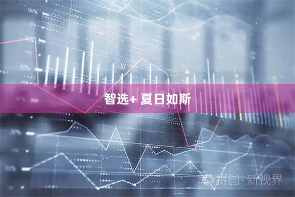 智选+ 夏日如斯