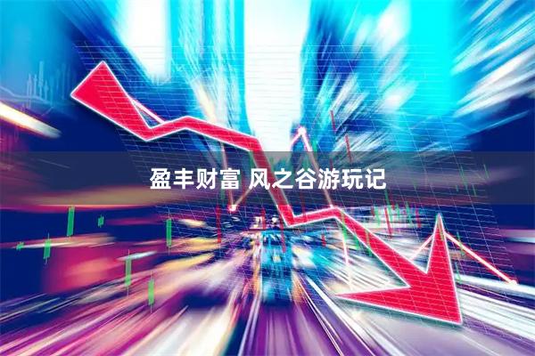 盈丰财富 风之谷游玩记